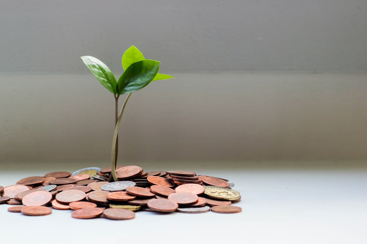 How To Budget for a Ghana Build When You Are Paid in Pounds or Dollars