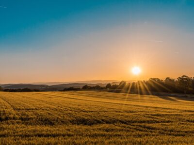 How To Buy Land in Ghana From the UK Without Ever Being Cheated